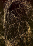 Awesome FX - Collection