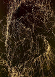 Awesome FX - Collection
